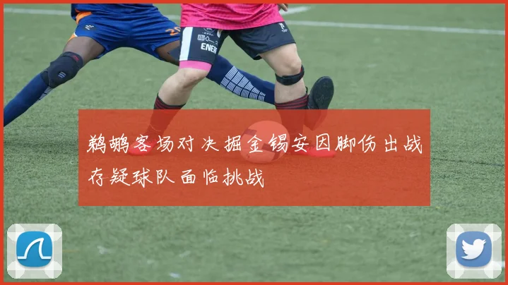 鹈鹕客场对决掘金锡安因脚伤出战存疑球队面临挑战