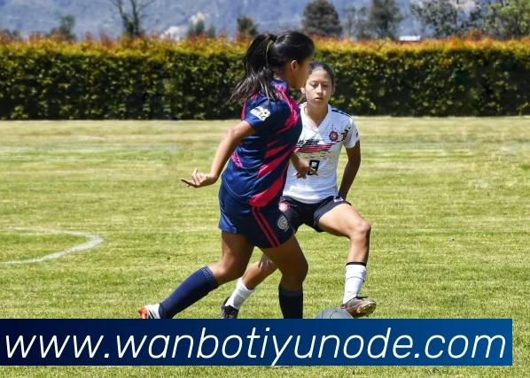 多媒体互动体验