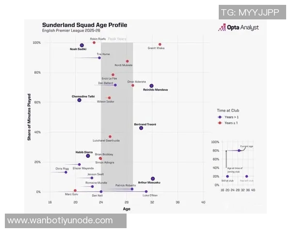 英超球队受非洲杯影响分析桑德兰主力缺席人数最多其他五队未受影响 英超球队受非洲杯影响分析桑德兰主力缺席人数最多其他五队未受影响